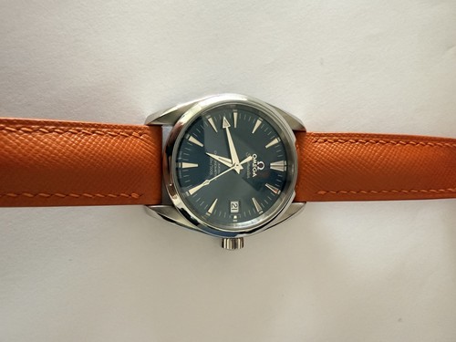 Omega seamaster aqua - omega, terra
